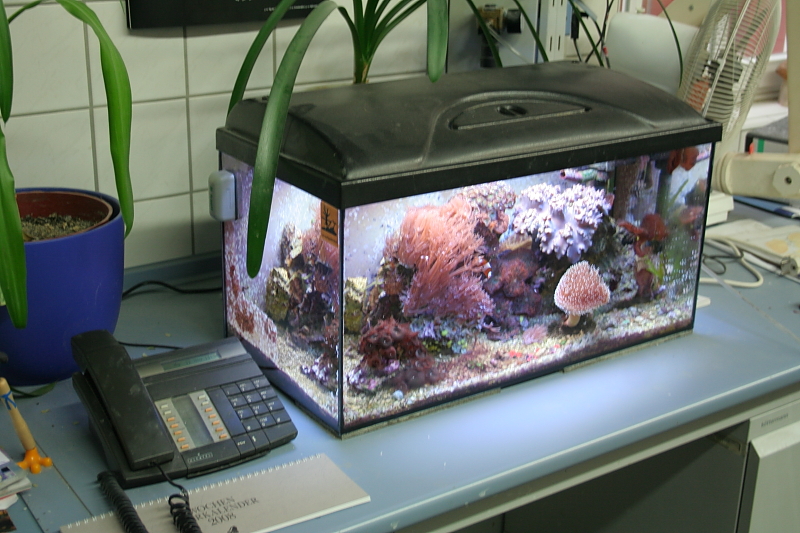 Killikus&reg; Fotographie